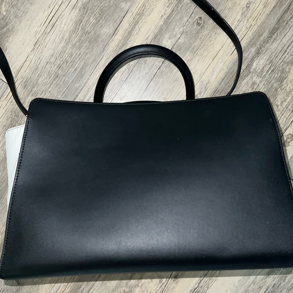 Gorgeous Medium Zac Posen Purse